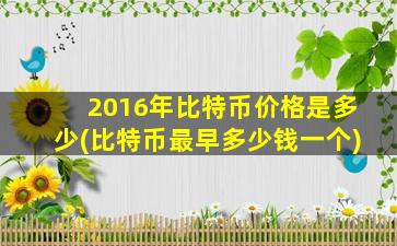 2016年比特币价格是多少(比特币最早多少钱一个)