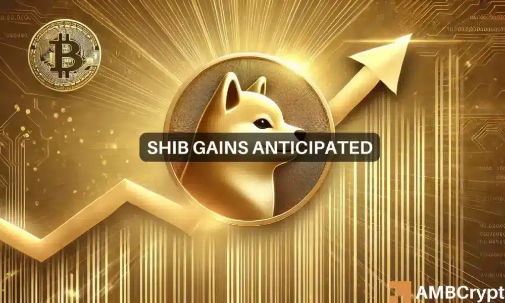 Shiba Inu价格预测：为什么40%的涨幅可能比你想象的要近