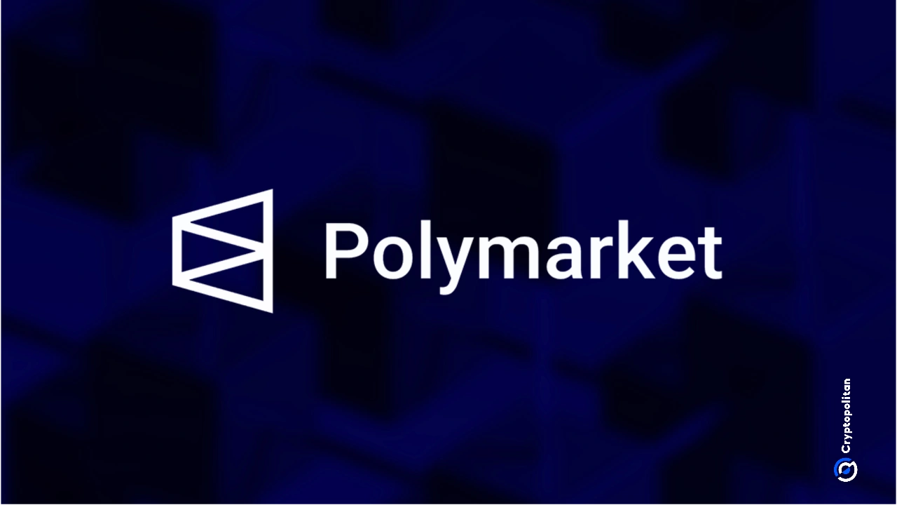 链上数据显示，高达89%的Polymarket用户亏损